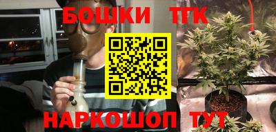 прущие грибы Лесосибирск