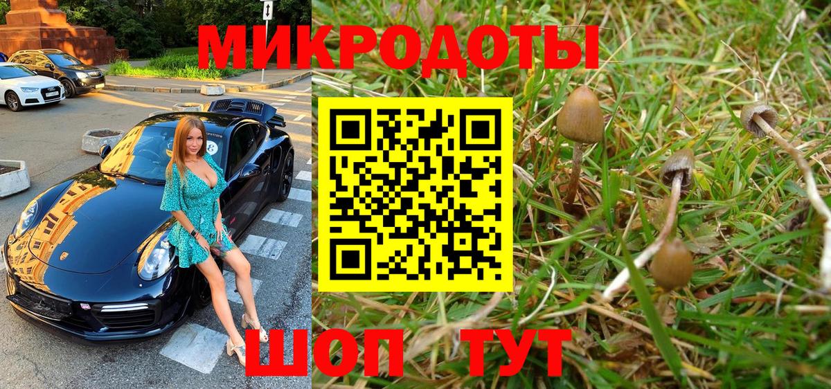Ижевск  хочу наркоту  Вход с VPN  Галлюциногенные грибы мухоморы  Галлюциногенные грибы MAGIC MUSHROOMS 
